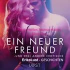 Ein neuer Freund – und drei andere erotische Erika Lust-Geschichten