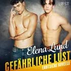 Gefährliche Lust - Erotische Novelle