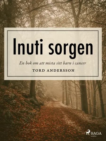 Inuti sorgen af Tord Andersson