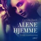 Alene hjemme - erotisk novellesamling af Camille Bech