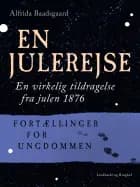 En julerejse. En virkelig tildragelse fra julen 1876. Fortællinger for ungdommen