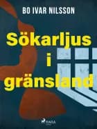 Sökarljus i gränsland af Bo Ivar Nilsson