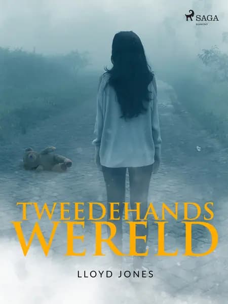 Tweedehands wereld af Lloyd Jones