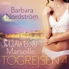 Togrejsen 4 - Måne over Marseille af Barbara Nordström