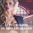 Et frækt møde på Sørlandsbanen – erotiske noveller