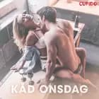 Kåd onsdag – erotiske noveller