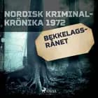 Bekkelagsrånet 