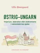 Østrig-Ungarn.Imperium, føderation eller anakronisme i nationstaternes epoke