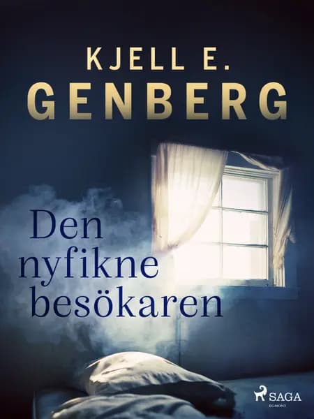 Den nyfikne besökaren af Kjell E. Genberg