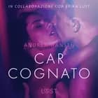 Caro cognato - Racconto erotico af Andrea Hansen