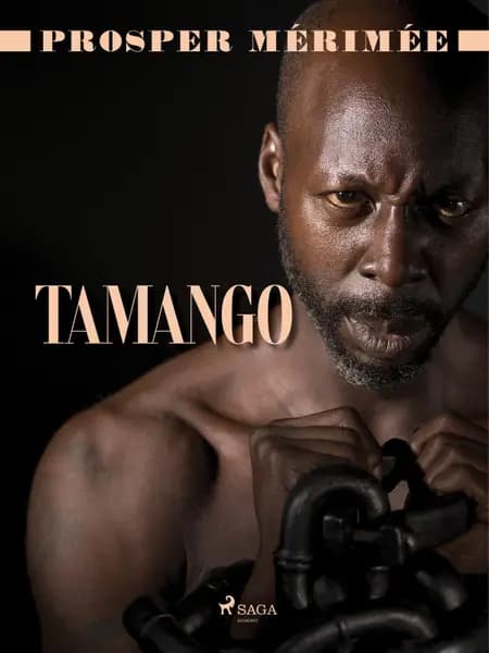 Tamango af Prosper Mérimée