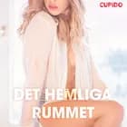 Det hemliga rummet – erotiska noveller