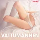 Vattumannen - erotiska noveller af Cupido