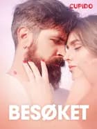 Besøket – erotiske noveller