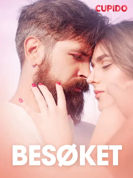 Besøket - erotiske noveller af Cupido