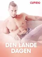 Den lande dagen – erotiske noveller