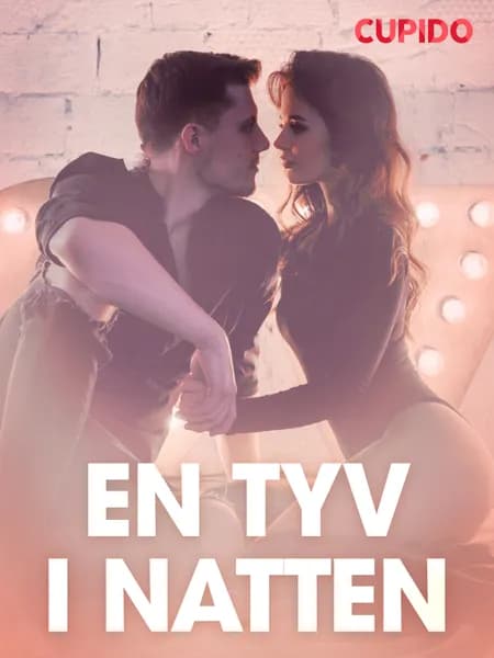 En tyv i natten - erotiske noveller af Cupido