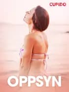 Oppsyn – erotisk novelle