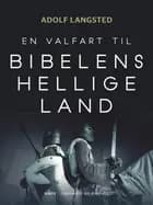 En valfart til Bibelens hellige land af Adolf Langsted