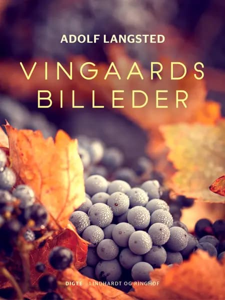 Vingaardsbilleder af Adolf Langsted