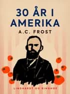 30 år i Amerika af A.C. Frost