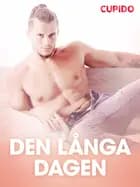 Den långa dagen – erotisk novell