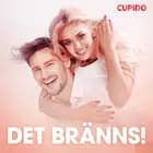 Det bränns! – erotisk novell
