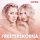 Fresterskorna – erotisk novell