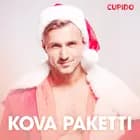 Kova paketti – eroottinen novelli