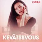 Kevätsiivous – eroottinen novelli