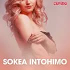 Sokea intohimo – eroottinen novelli