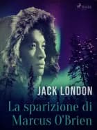 La sparizione di Marcus O'Brien