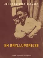 En bryllupsrejse af Jenny Blicher-Clausen