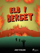 Eld i berget