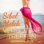 Verbotene Treffen - Erotische Novelle af Sibel Melek