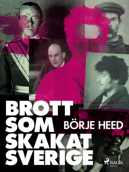 Brott som skakat Sverige af Börje Heed