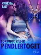 Forbudte steder: Pendlertoget - erotisk novelle af Vanessa Salt