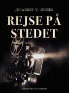 Rejse på stedet