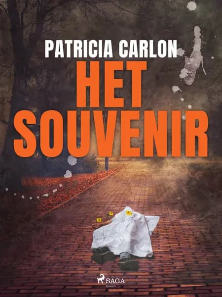 Het souvenir af Patricia Carlon