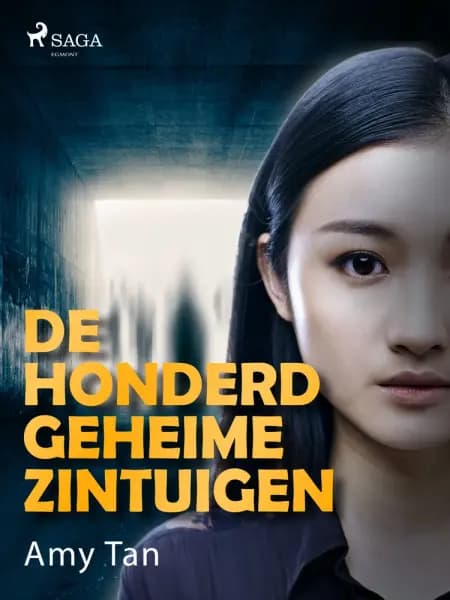 De honderd geheime zintuigen af Amy Tan