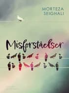 Misforståelser af Morteza Seighali