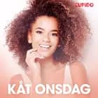 Kåt onsdag - erotiska noveller