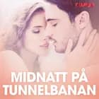 Midnatt på tunnelbanan - erotiska noveller af Cupido