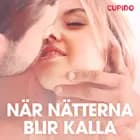 När nätterna blir kalla - erotiska noveller
