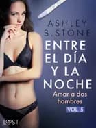 Entre el día y la noche 5: Amar a dos hombres – una novela erótica