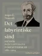 Det labyrintiske sind. Henrik Pontoppidans forfatterskab 1881-1904