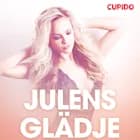 Julens Glädje - erotiska noveller af Cupido