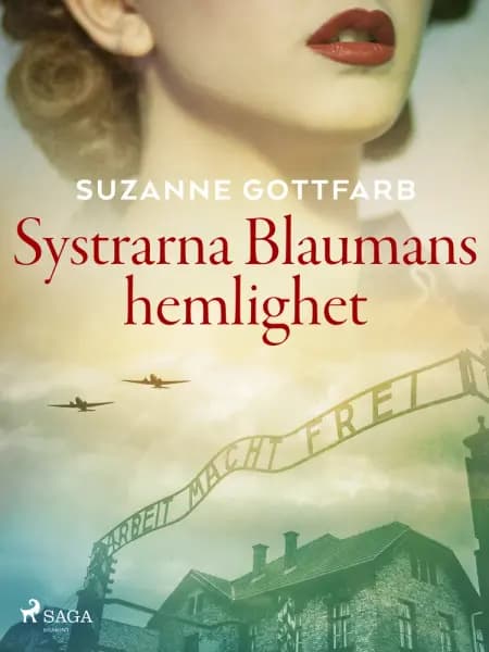 Systrarna Blaumans hemlighet af Suzanne Gottfarb