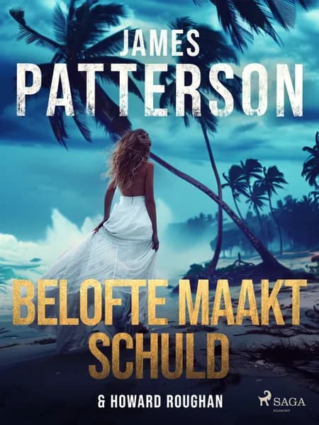 Belofte maakt schuld af Howard Roughan