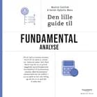 Den lille guide til fundamental analyse af Martin Gottlob og Sarah Ophelia Møss